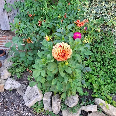 Le Bois Rouland * Le Mesnil-Mauger