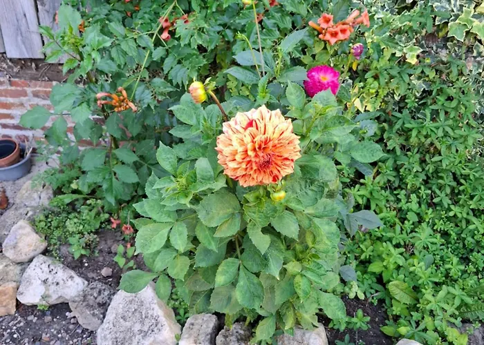 Le Bois Rouland * Le Mesnil-Mauger